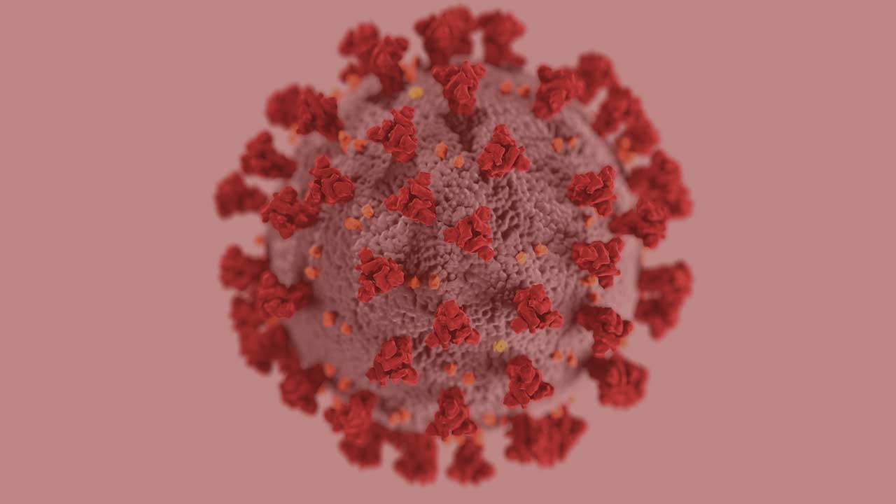 corona virus model from CDC